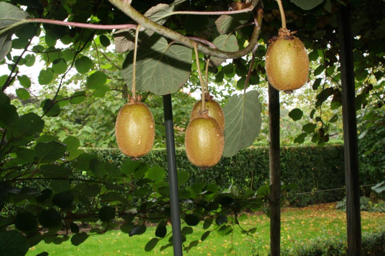 B&B De Sprokkeltuin Beuningen  Zewnętrze zdjęcie